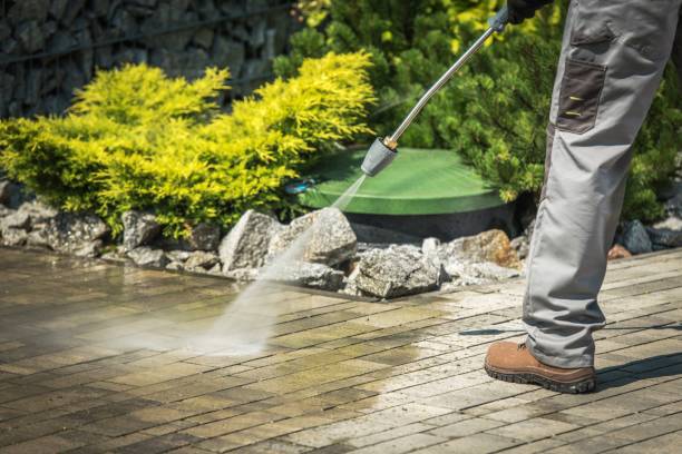 Best Soft Washing  in Bridgeville, PA