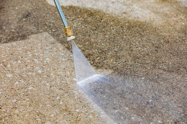 Best Driveway Pressure Washing  in Bridgeville, PA